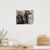 Twee zwarte labradors poster (Keuken)