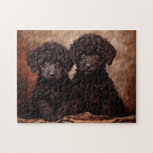 Twee zwarte poedel puppies legpuzzel (Horizontaal)