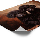 Twee zwarte poedel puppies poster (Hoek)