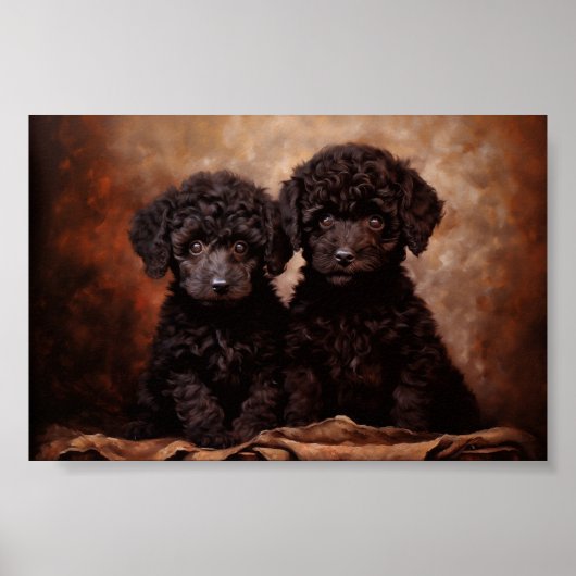 Twee zwarte poedel puppies poster (Voorkant)