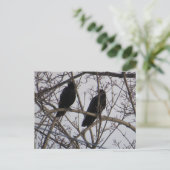 Twee zwarte roeivogels in een boom briefkaart (Staand voorkant)