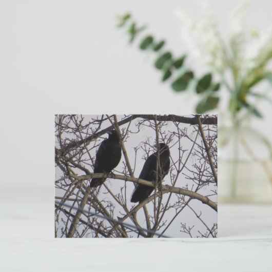 Twee zwarte roeivogels in een boom briefkaart (Staand voorkant)