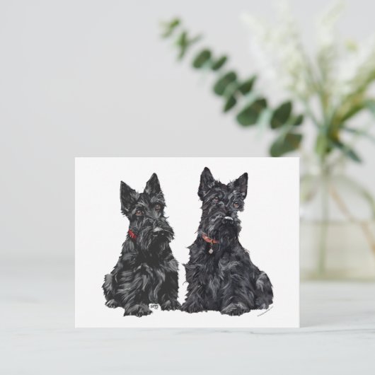 Twee zwarte Schotse Terriers Briefkaart (Staand voorkant)
