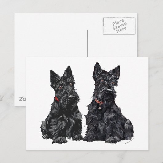 Twee zwarte Schotse Terriers Briefkaart (Voorkant / Achterkant)