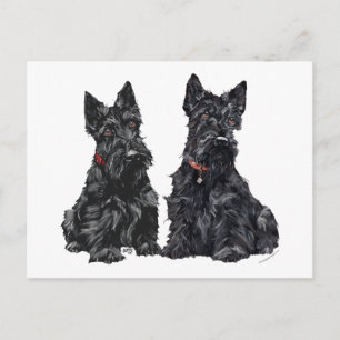 Twee zwarte Schotse Terriers Briefkaart