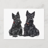 Twee zwarte Schotse Terriers Briefkaart (Voorkant)