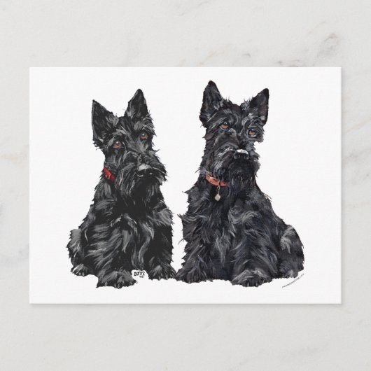 Twee zwarte Schotse Terriers Briefkaart (Voorkant)