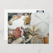 Twee zwarte zandvangers Briefkaart (Voorkant / Achterkant)