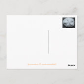 Twee zwarte zandvangers Briefkaart (Achterkant)