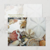 Twee zwarte zandvangers Briefkaart (Voorkant / Achterkant)