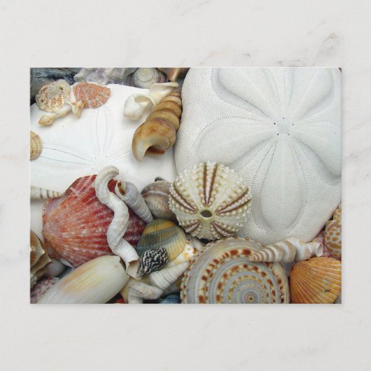 Twee zwarte zandvangers Briefkaart (Voorkant)