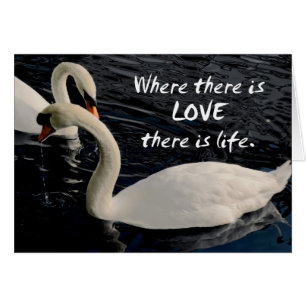 Twee zwemmen op het meer