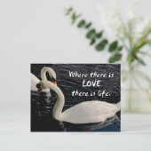 Twee zwemmen op het meer briefkaart (Staand voorkant)