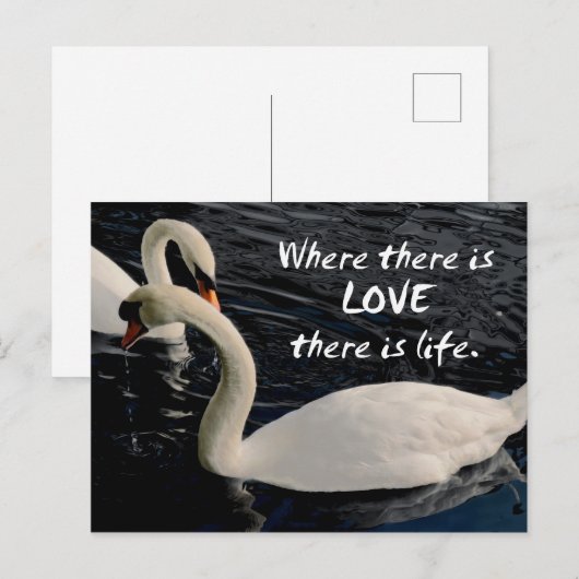 Twee zwemmen op het meer briefkaart (Voorkant / Achterkant)