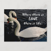 Twee zwemmen op het meer briefkaart (Voorkant)