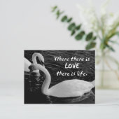 Twee zwemmen op het meer briefkaart (Staand voorkant)