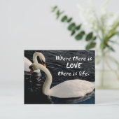 Twee zwemmen op het meer briefkaart (Staand voorkant)