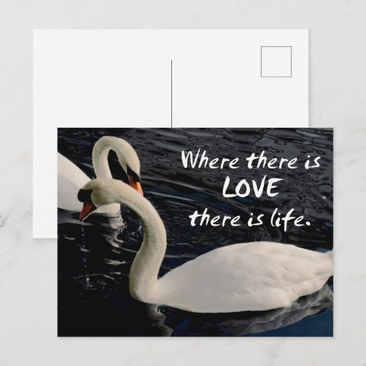 Twee zwemmen op het meer briefkaart (Voorkant / Achterkant)