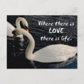 Twee zwemmen op het meer briefkaart (Voorkant)