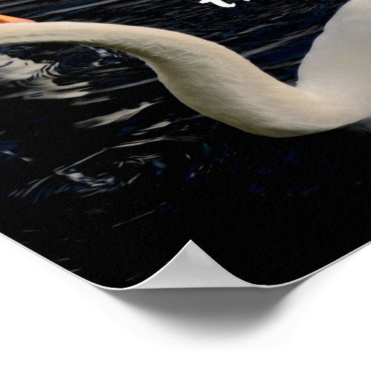 Twee zwemmen op het meer poster (Hoek)