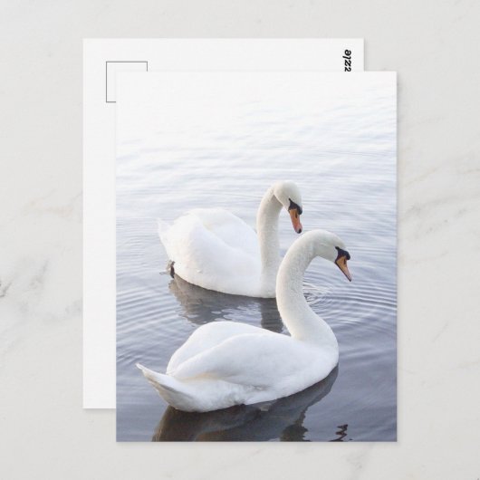 Twee zwemmen op het Tranquil Lake Briefkaart (Voorkant / Achterkant)