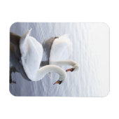 Twee zwemmen op het Tranquil Lake Magneet (Horizontaal)