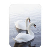 Twee zwemmen op het Tranquil Lake Magneet (Verticaal)