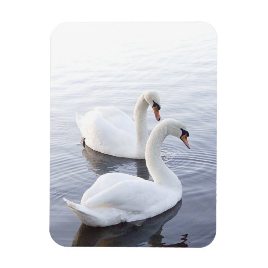 Twee zwemmen op het Tranquil Lake Magneet (Verticaal)