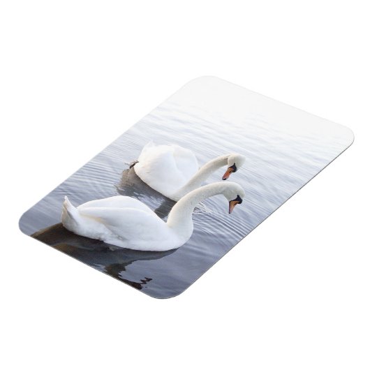 Twee zwemmen op het Tranquil Lake Magneet (Linkerzijde)