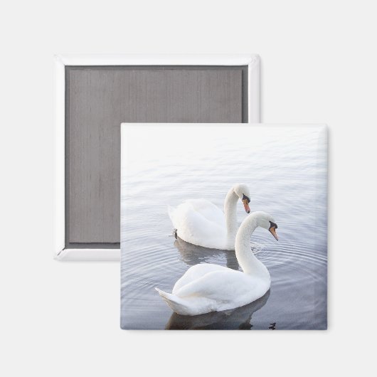 Twee zwemmen op het Tranquil Lake Magneet (Voorkant / Achterkant)