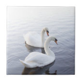 Twee zwemmen op het Tranquil Lake Tegeltje (Voorkant)