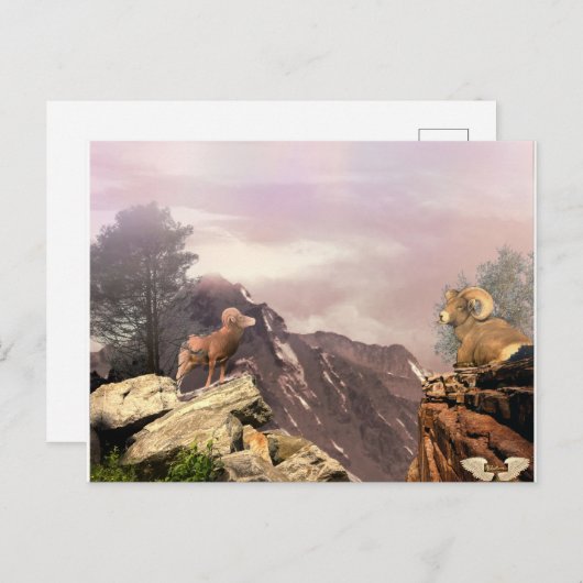 Twee zwervers in het Briefkaart van het hoge land (Voorkant / Achterkant)