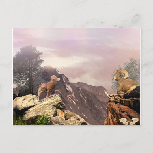 Twee zwervers in het Briefkaart van het hoge land (Voorkant)