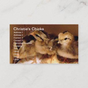 Tweedaagse kip, Christie's Chicks Visitekaartje