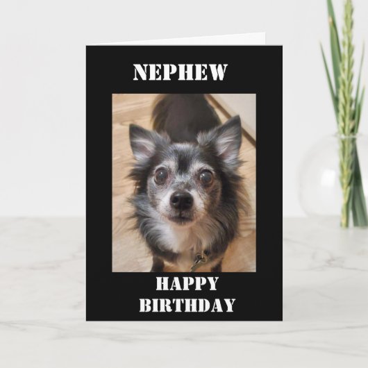 TWEEDE DAG MET VERLIES **NEPHEW** KAART (Voorkant)