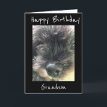 TWEEDE DAG WIL **GRANDSON** KAART<br><div class="desc">HEBBEN GEVOELIG HET VERZENDEN OF HET GEVEN VAN DEZE KAART VOOR HIJ ZEKER VAN HET ONTVANGEN VAN "U"ZEKER. IK HOU VAN DEZE LIJN VAN KAARTEN EN IK DANK U VOOR HET OPLOSSEN VAN 1 VAN MIJN 8 STORES.</div>