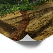 Tweede ster rechts. poster (Hoek)