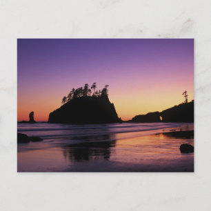Tweede strand bij schemering, Olympic NP, WA, USA Briefkaart