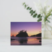Tweede strand bij Twilight, Olympic NP, WA, Vereni Briefkaart (Staand voorkant)