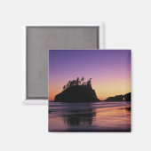 Tweede strand bij Twilight, Olympic NP, WA, Vereni Magneet (Voorkant / Achterkant)