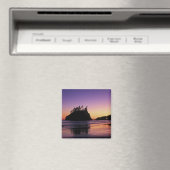 Tweede strand bij Twilight, Olympic NP, WA, Vereni Magneet (Insitu (Vaatwasser))