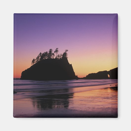 Tweede strand bij Twilight, Olympic NP, WA, Vereni Magneet (Voorkant)