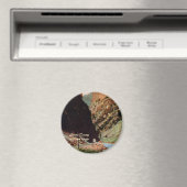 Tweede Tunnel in Royal Gorge Magnet (Insitu (Vaatwasser))