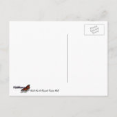 Tweede Wereldoorlog Herdenkingsmuur voor Vrijheid  Briefkaart (Achterkant)