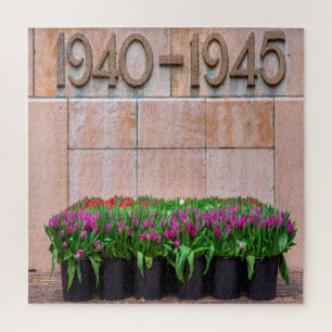 Tweede Wereldoorlog van onze soldaten Legpuzzel