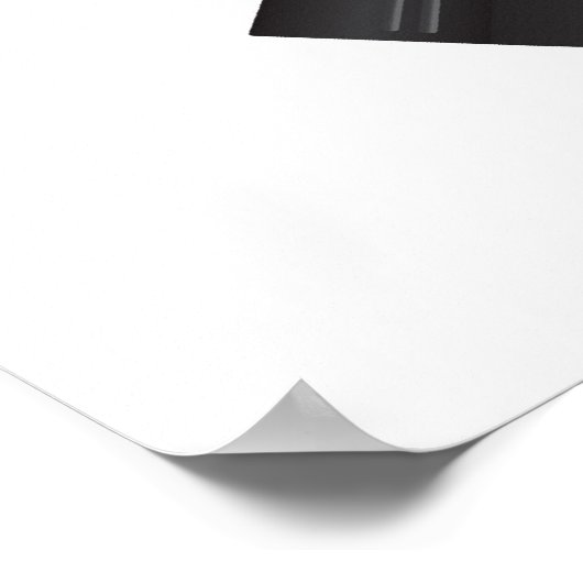 Tweede wijziging Rechten op het Poster van de Beer (Hoek)