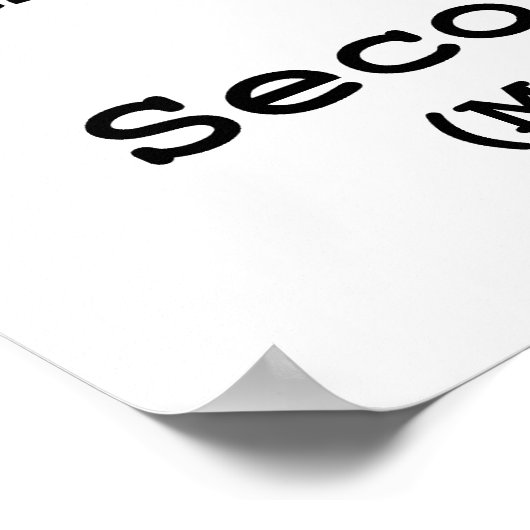 Tweede wijziging van de grondwet van de Verenigde  Poster (Hoek)