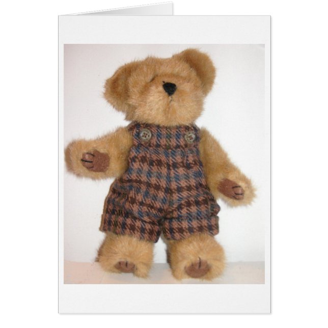 Tweedie Teddy (Voorkant)