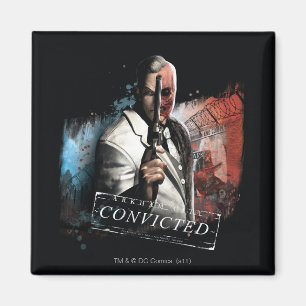 Tweedimensionaal - veroordeeld magneet