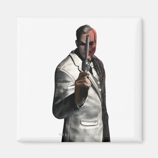 Tweedimensionale kleur magneet (Voorkant)